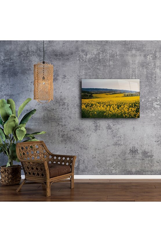 Doğal Gün Batımı Manzaralı Kanola Tarlası Tuval Tablo