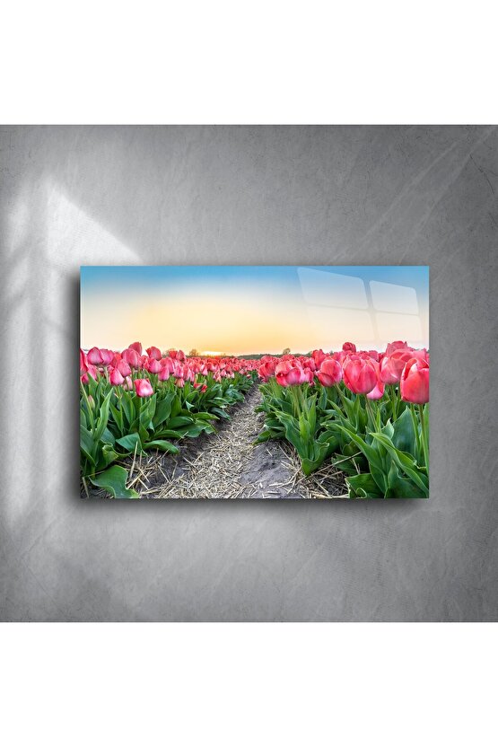 Gün Batımı Lale Tarlası Kanvas Tablo