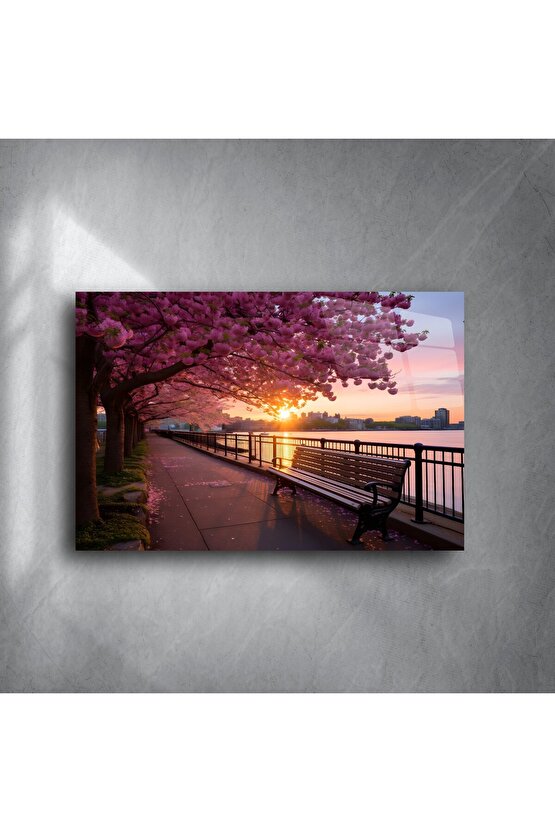Kiraz Çiçeği Gün Batımı Park Bankı Kanvas Tablo