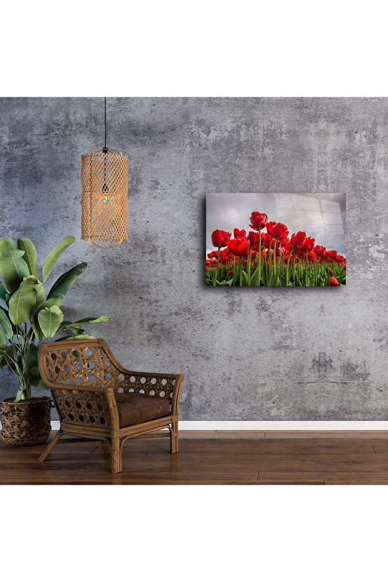 Kırmızı lale tarlası doğa manzaralı kanvas tablo
