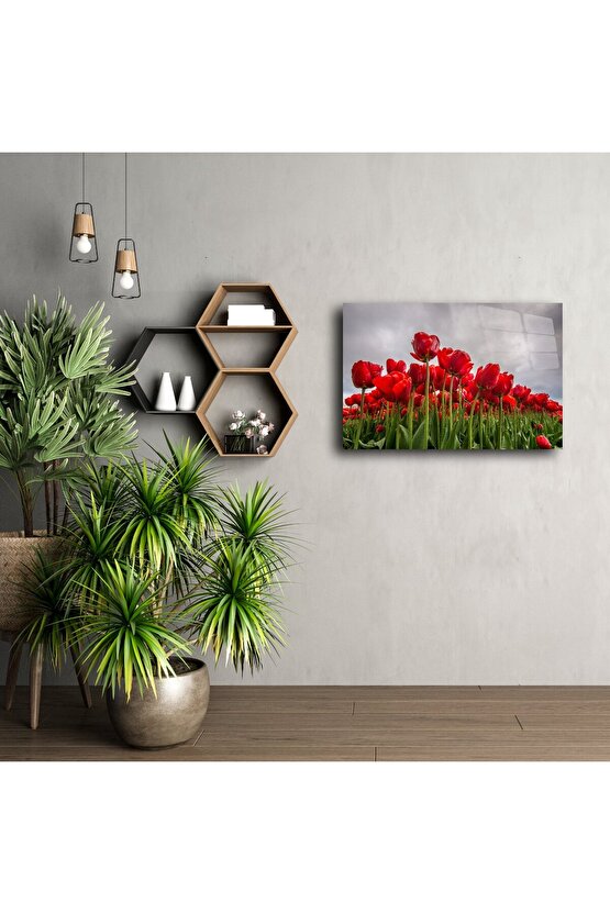 Kırmızı lale tarlası doğa manzaralı kanvas tablo