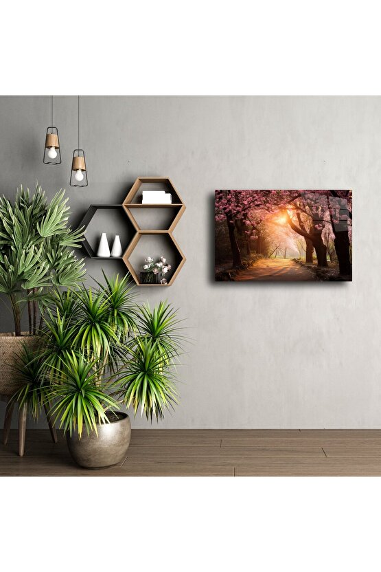 Romantik Kiraz Çiçeği Yolu Duvar Tablosu