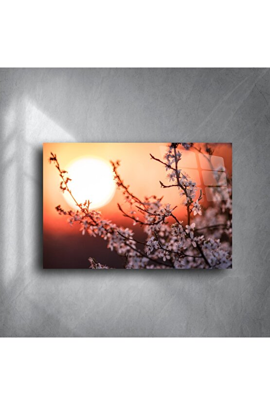 Romantik Gün Batımı Manzaralı Kiraz Çiçeği Kanvas Tablo