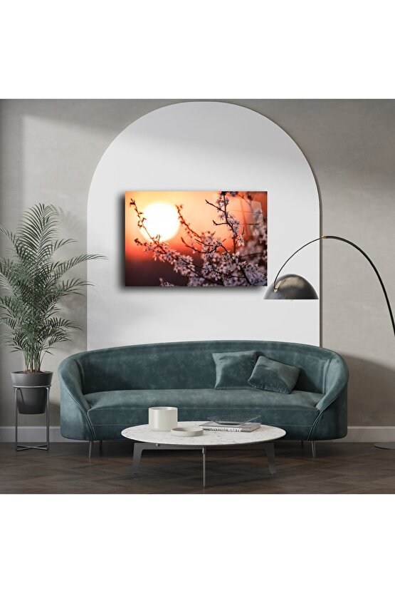 Romantik Gün Batımı Manzaralı Kiraz Çiçeği Kanvas Tablo