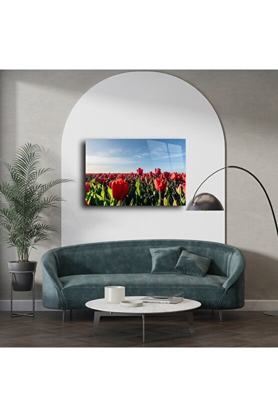 Panoramik Kırmızı Lale Tarlası Cam Tablo