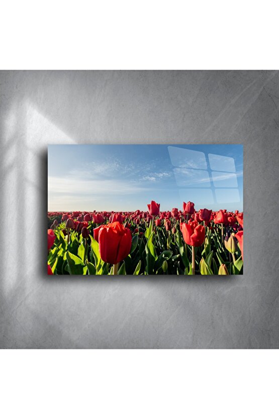 Panoramik Kırmızı Lale Tarlası Cam Tablo