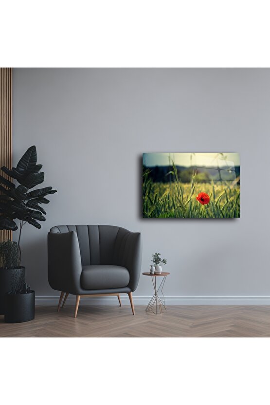 Doğada Tek Gelincik Temalı Lüks Cam Tablo