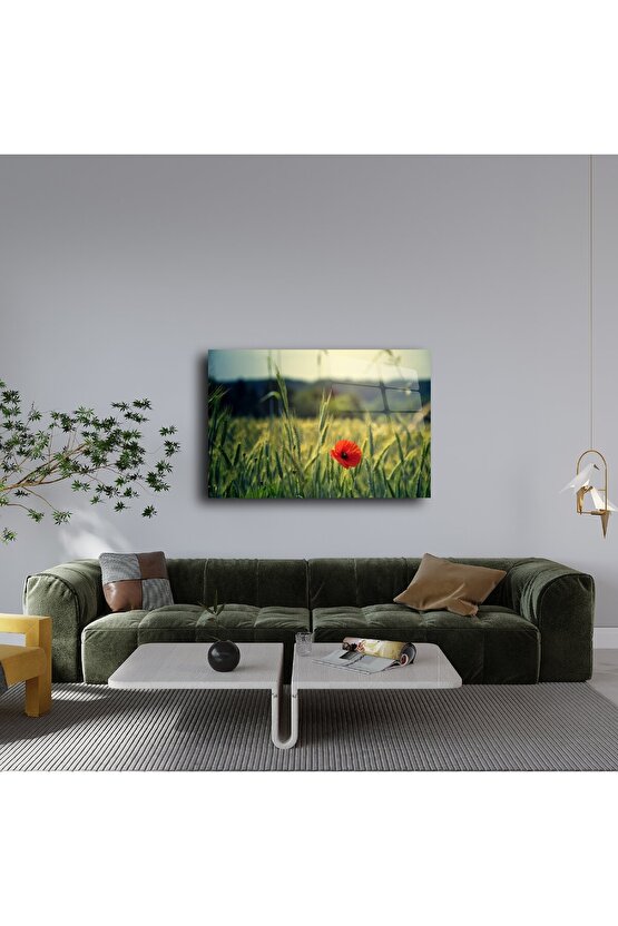 Doğada Tek Gelincik Temalı Lüks Cam Tablo