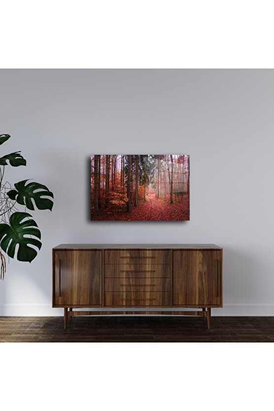 Kırmızı Yapraklı Orman Yolu Cam Duvar Tablosu