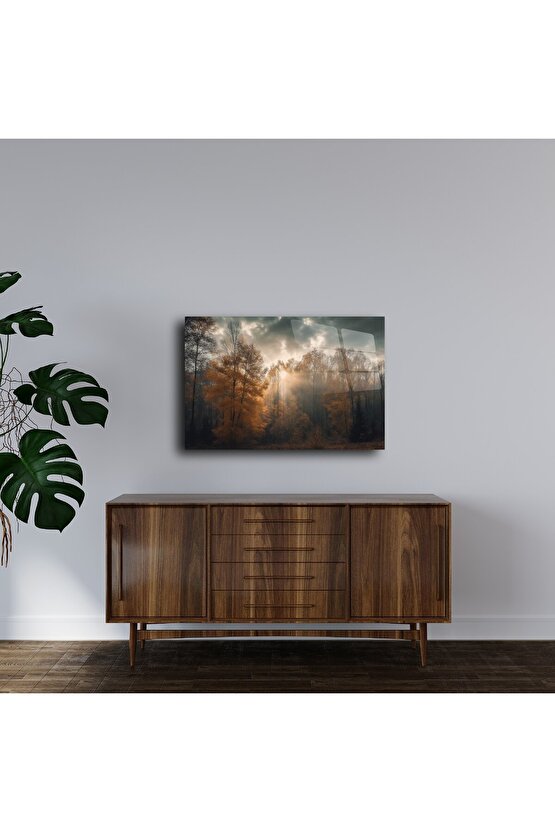Sisli Orman Temalı Cam Duvar Tablosu
