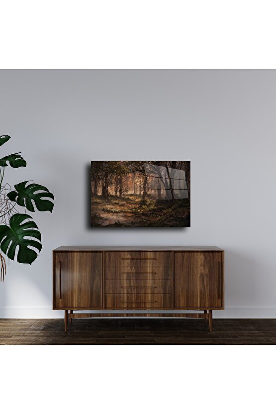 Cam Duvar Tablosu Doğa Temalı Orman Manzarası