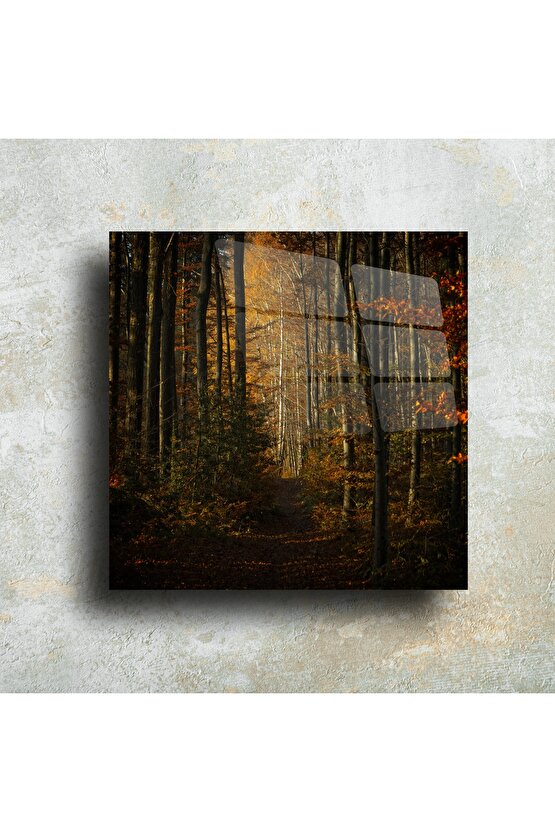 Orman Temalı Duvar Dekoru