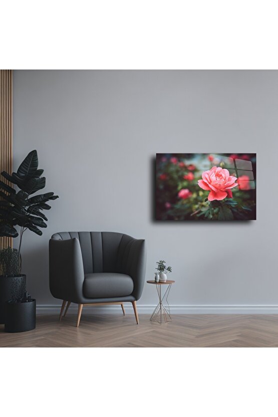 Cam Tablo Gül Çiçeği Duvar Sanatı