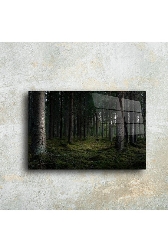 Doğal Orman Manzaralı Cam Tablo