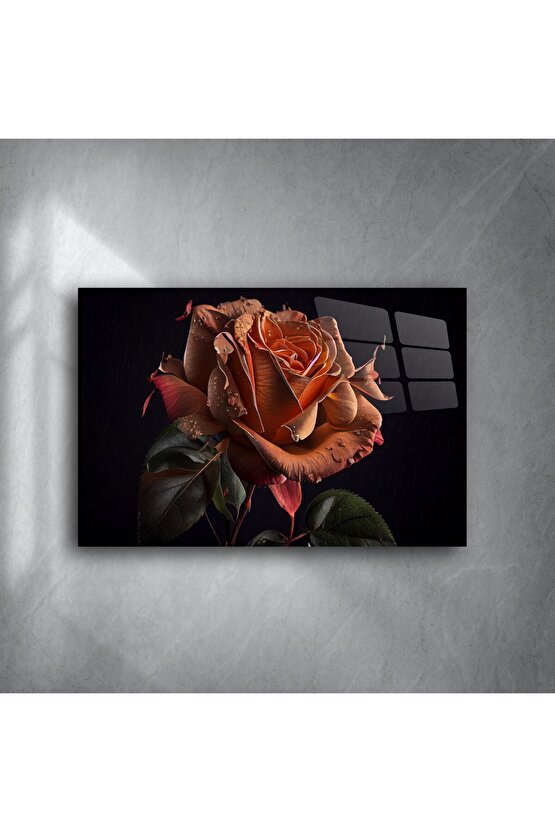 Premium Siyah Arka Plan Üzerinde Çiyli Gül Sanat Baskısı