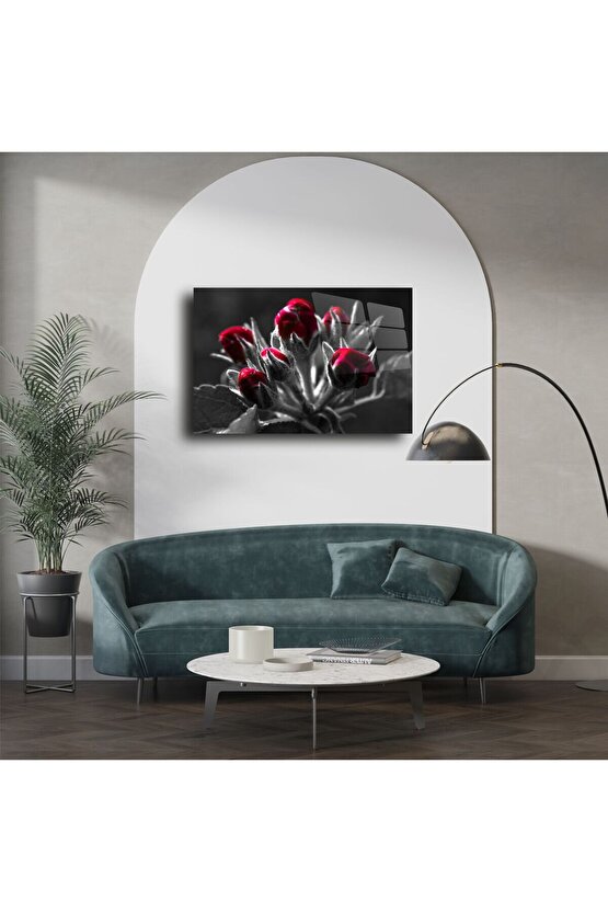 Siyah Beyaz Zemin Üzerine Kırmızı Gonca Çiçek Cam Tablo