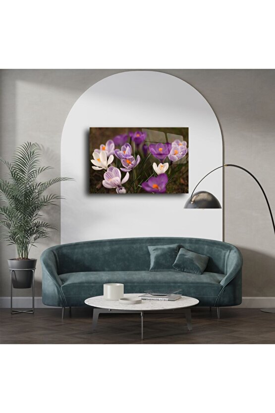Mor Beyaz Krokus Çiçekli Cam Tablo