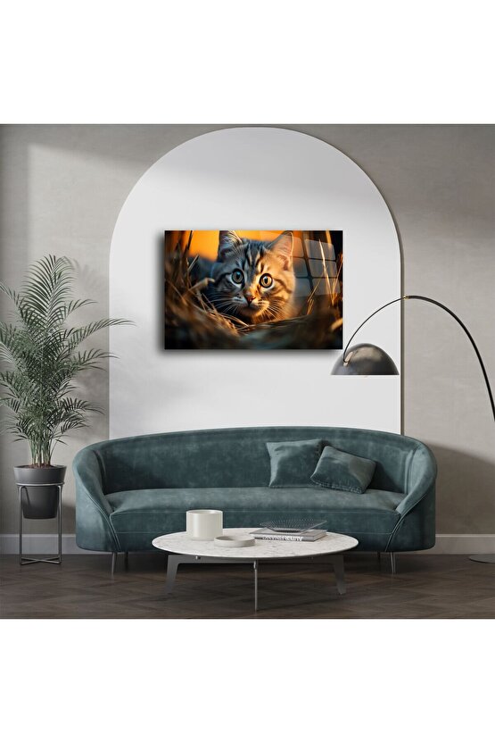 Yakın Plan Kedi Temalı Cam Tablo