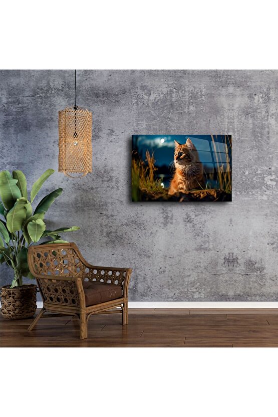 Kedi Temalı Temperli Cam Duvar Tablosu