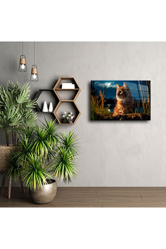 Kedi Temalı Temperli Cam Duvar Tablosu