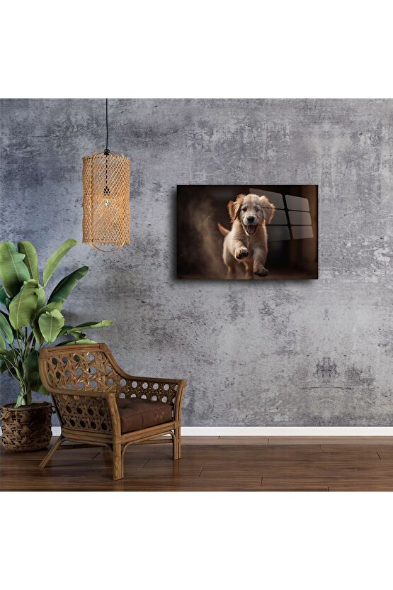 Modern Cam Duvar Tablosu