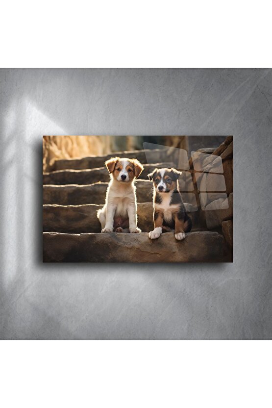 Doğal Işıklı Merdivende İki Yavru Köpek Metal Tablo