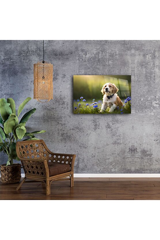 Canlı Mavi Çiçekler Arasında Oturan Sevimli Yavru Köpek Kanvas Tablo