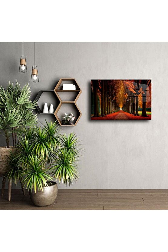 Kırmızı Yapraklı Ağaç Tüneli Cam Tablo