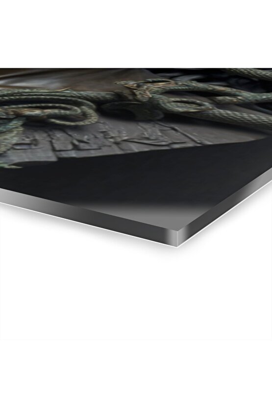 Kadın Model Medusa 4 Cam Tablo Duvar Dekoru 23