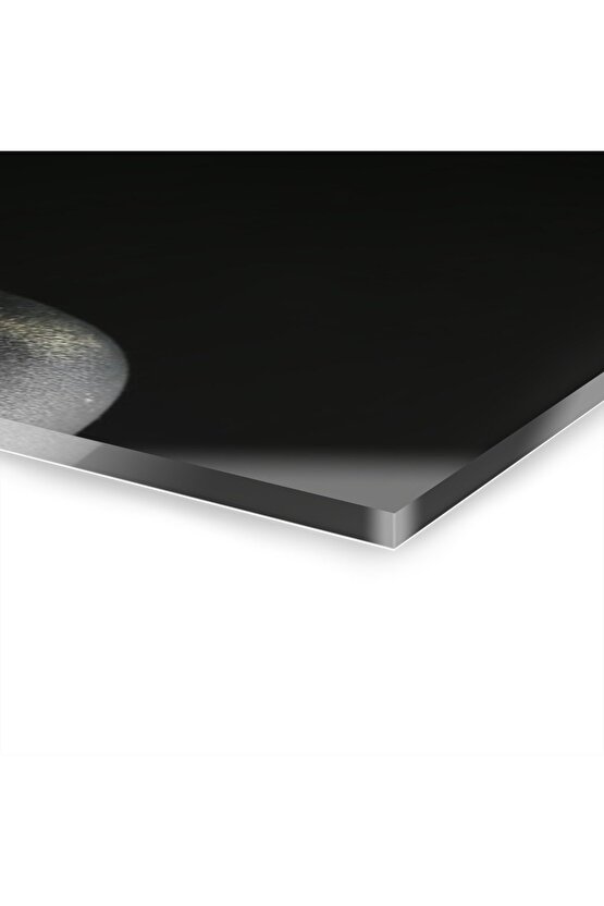 Kadın Model Cam Tablo Duvar Dekoru 5