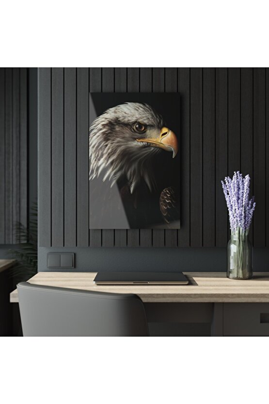 Kartal Başı Cam Tablo Duvar Dekoru