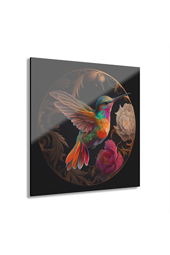 Renkli Sinek Kuşu Cam Tablo Duvar Dekoru