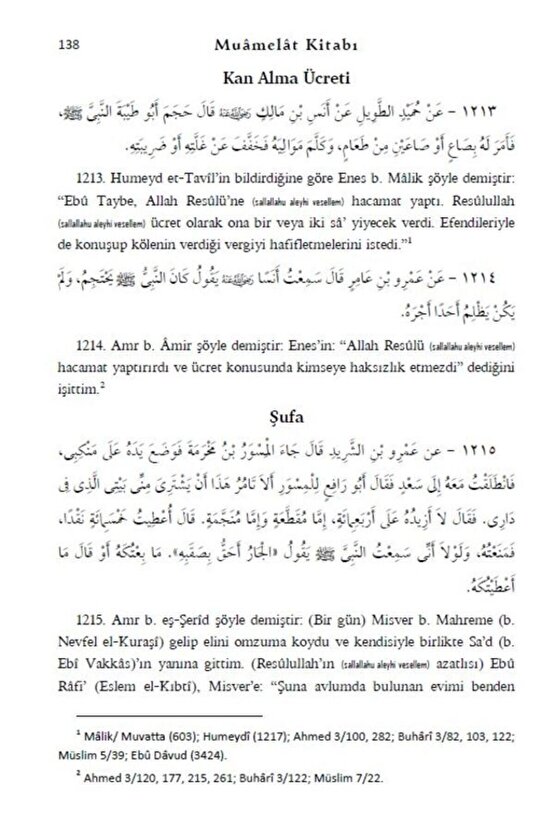 Temel Sahih Hadisler 3 Cilt Takım