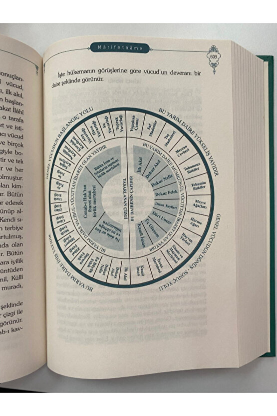 Marifetname renkli baskı