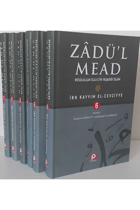Zadul Mead, Resulullahın Yaşadığı Islam (6 Cilt Takım)