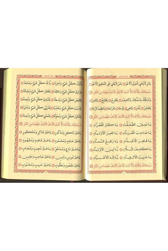 Büyük Cevşen Arapça Kolay Okunuşlu (CELCELUTİYE İLAVELİ) Çanta Boy-ciltli-k-2001