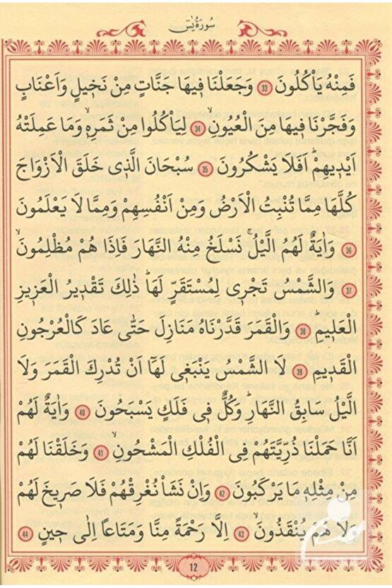 Büyük Cevşen ve Türkçe Meali (Orta Boy) Transkriptli Türkçe Okunuşu & Ashab-ı Bedir ve Celcelütiy...