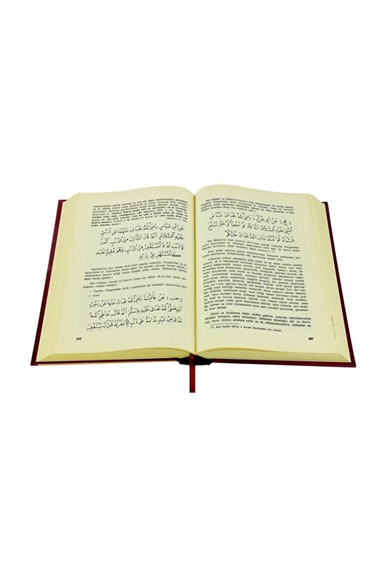 Tarikat-i Muhammediyye - Imam-ı Birgivi