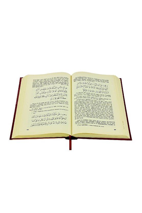 Tarikat-i Muhammediyye - Imam-ı Birgivi