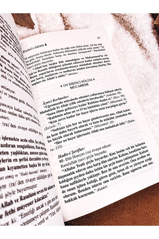 Riyazus Salihin Tercümesi (KARTON KAPAK-METİNSİZ)