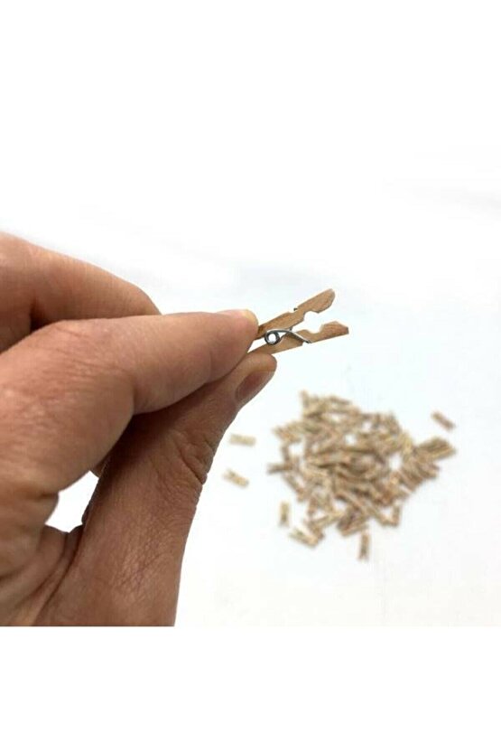 Ahşap Mini Küçük Mandal Fotoğraf Asma Mandalı Dekoratif Pano Çerçeve Mandalı 25 Mm 2 Paket (48 Adet)