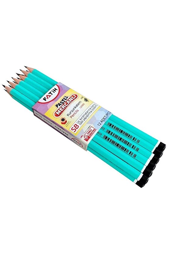 Köşeli Mercanlı Kurşun Kalem 12li Pastel Renkler Mor Gövde