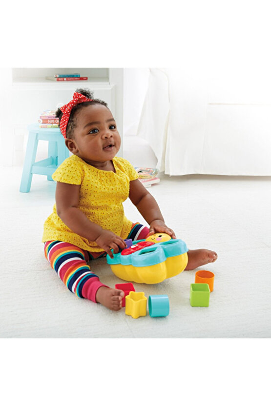 Fisher-Price Şekil Eşleştirme Arkadaşı Kelebek, 6 Bloklu, Şekil Eşleştirme Oyunu CDC22