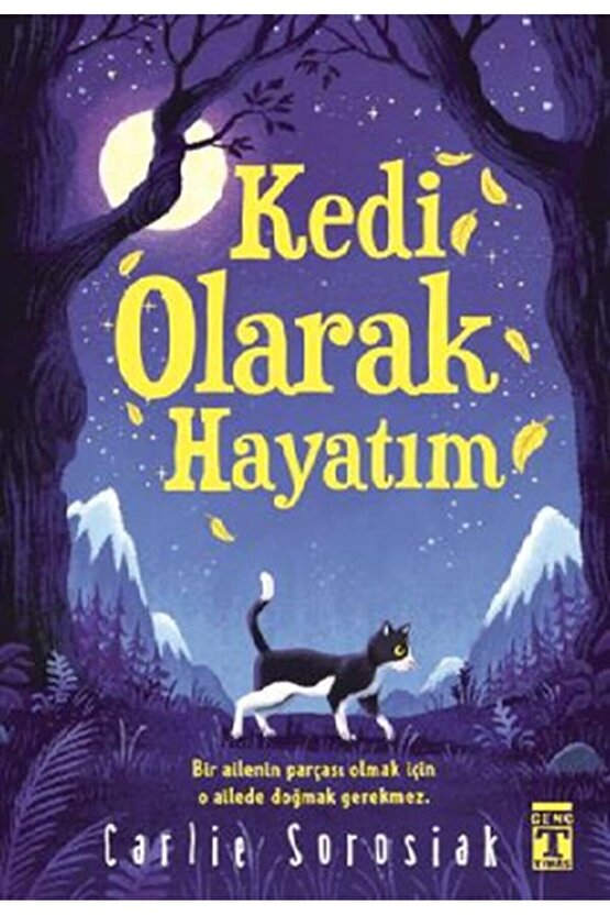 Kedi Olarak Hayatım