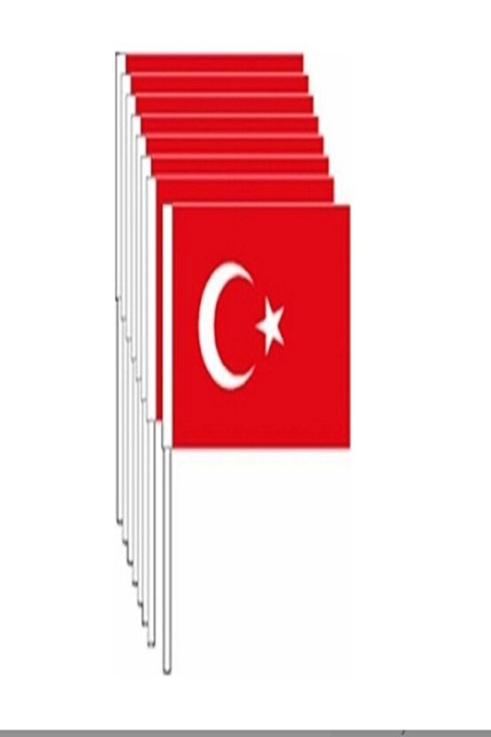 Eren Sopalı Bayrak 100lü Küçük 12.5 X 19