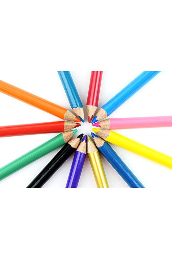 Color Kolay Tutuş Tam Boy 48 Li Kuru Boya Kalemi