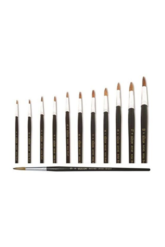 145 Sulu Boya Fırçası No: 1