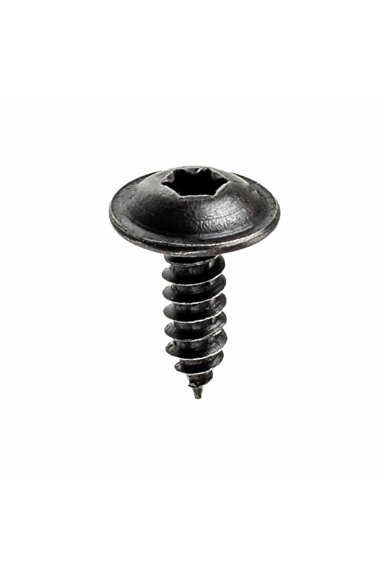 Renault Peugeot Citroen Skoda Fiat Seat için Torx (Tork) Vida Klips - 10 Adet