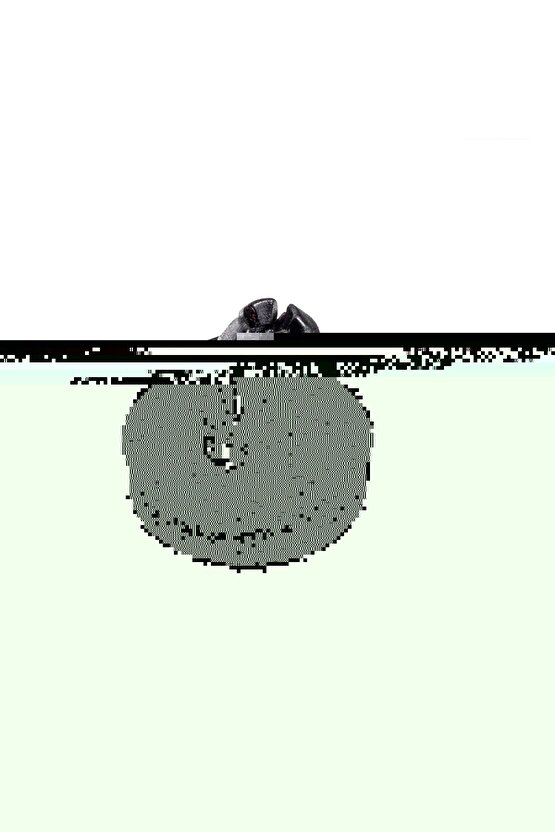 Honda Accord Civic Insight CR-V Fit HR-V için Davlumbaz Klips - 1 Adet