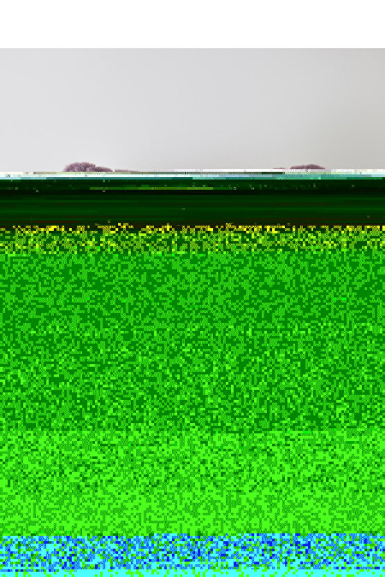 Flow Borosilkat Çay Fincanı Takımı Mor-Mavi